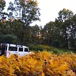 Prado Del Abuelo 아파트 카베주엘라델발